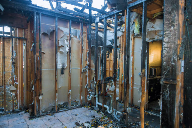 Professional Fire Damage Removal technician working in Annapolis, MD